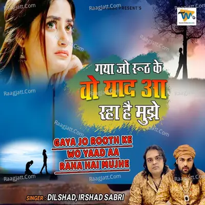 Gaya Jo Rooth Ke Wo Yaad Aa Raha Hai Mujhe - Irshad Sabri, Dilshad Sabri