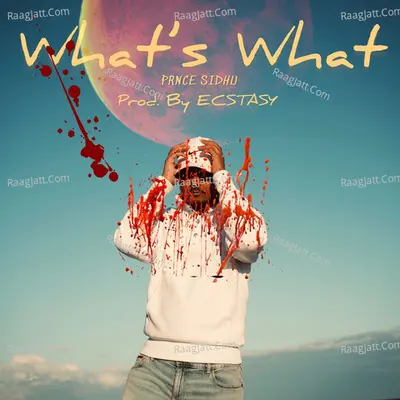 What’s What Cover