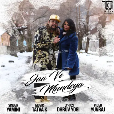 Jaa Ve Mundeya Cover