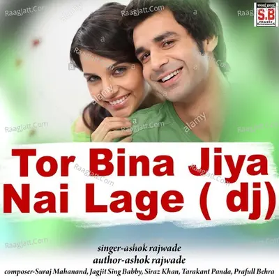 Tor Bina Jiya Nai Lage dj