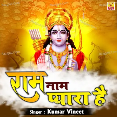Kumar Vineet