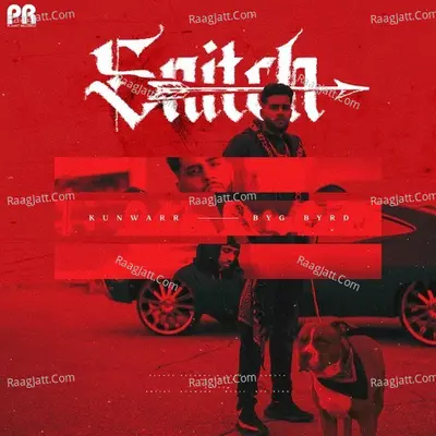 Snitch Cover
