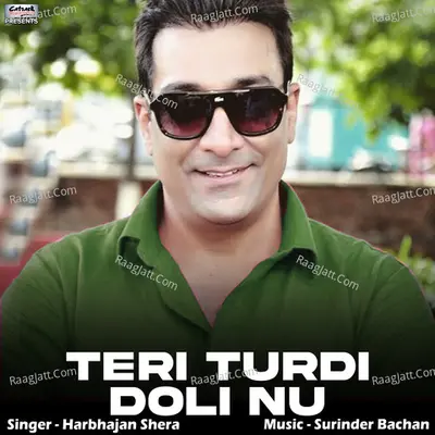 Teri Turdi Doli Nu - Single