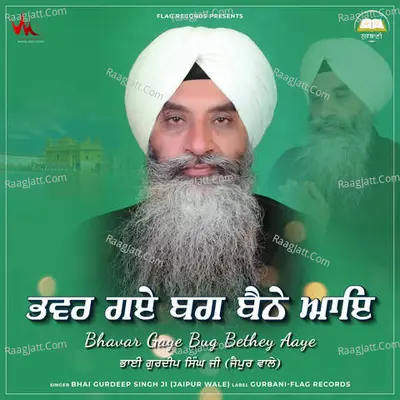 Bhawar Gaye Bug Baithe Aye