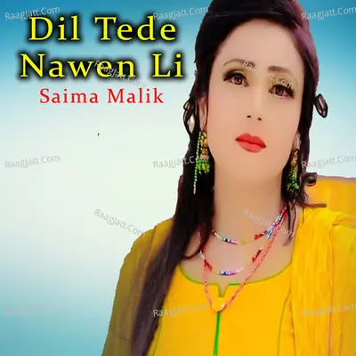 Dil Tede Nawen Li Cover