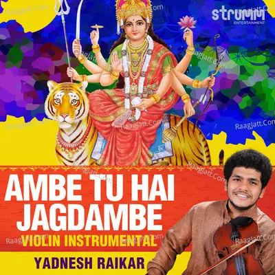 Yadnesh Raikar Image