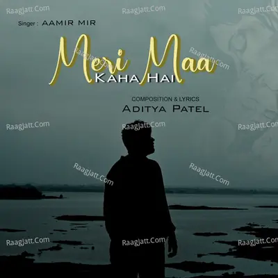 Aamir Mir
