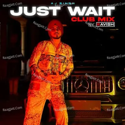 Just Wait (DJ Ravish Club Mix) Cover