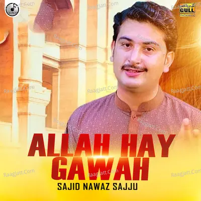 Allah Hay Gawah Poster