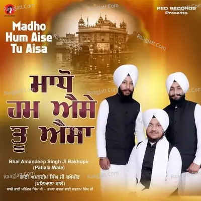 Madho Hum Aise Tu Aisa Cover