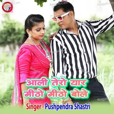 Aali Tero Yaar Mitho Mitho Bole Cover