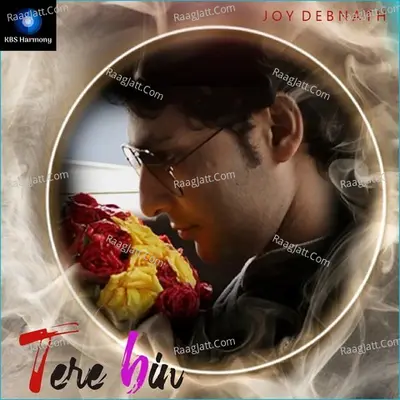 Tere Bin Cover