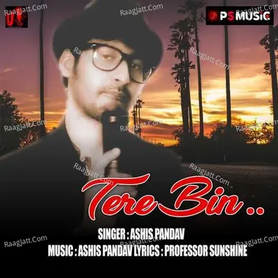 Tere Bin