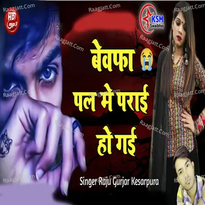 Bewafa Pal Main Parai Ho Gai Cover