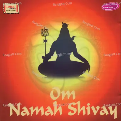 Om Namah Shivay - Rakesh Chaurasia