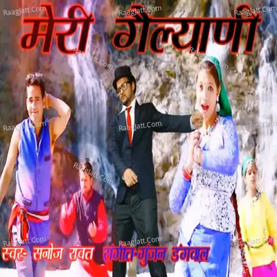 Meri Gailyani Cover