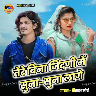Tere bina zindagi me suna suna lage Cover