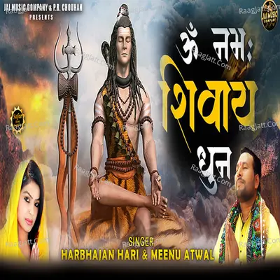 Om Namah Shivay (Dhun) Cover