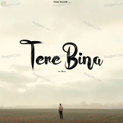 Tere Bina Cover