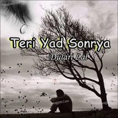Teri Yad Sonrya - Dulari Lal