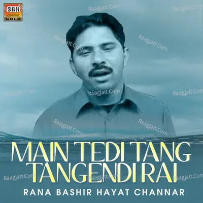 Main Tedi Tang Tangendi Rai Poster