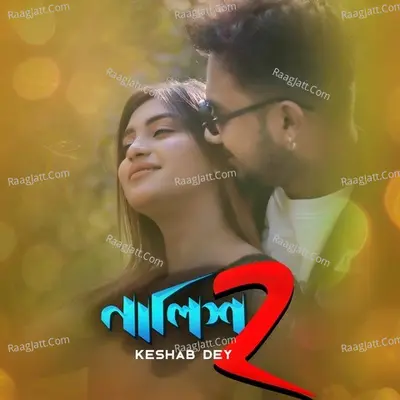 Nalish 2 Cover
