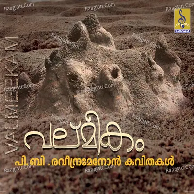 Valmeekam Poster