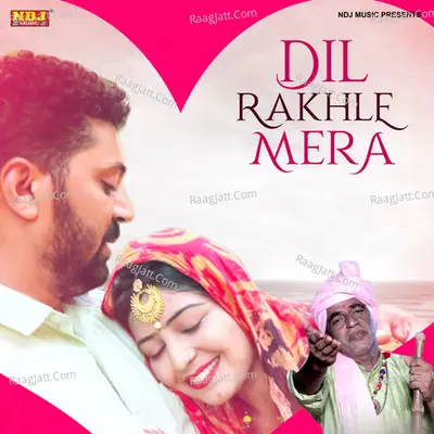 Dil Rakhle Mera Cover
