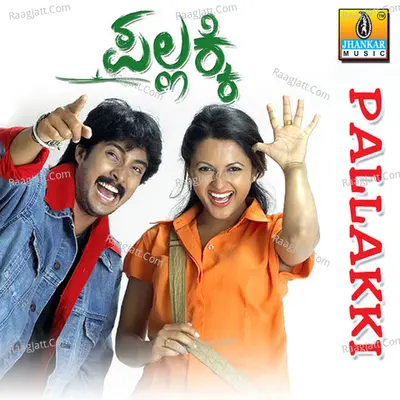 Pallakki Poster