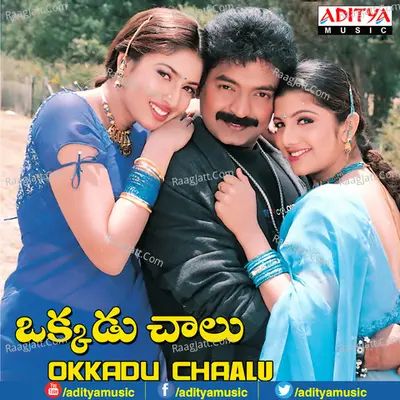 Okkadu Chaalu - Koti