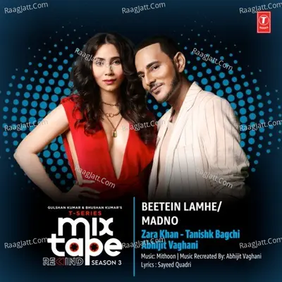 Beetein Lamhe-Madno (From "T-Series Mixtape Rewind Season 3") Cover