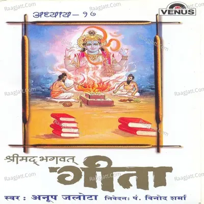 Shreemad Bhagwat Geeta- Vol- 17 - Anup Jalota