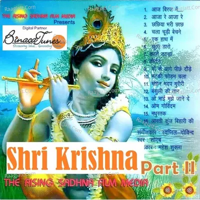 Sri Krishna II Poster