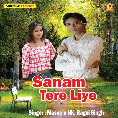 Sanam Tere Liye Cover