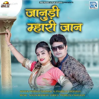 Janudi Mhari Jaan Cover