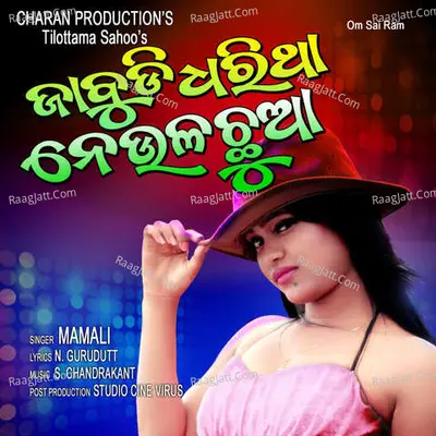 Jabdi Dharitha Neula Chhua Cover