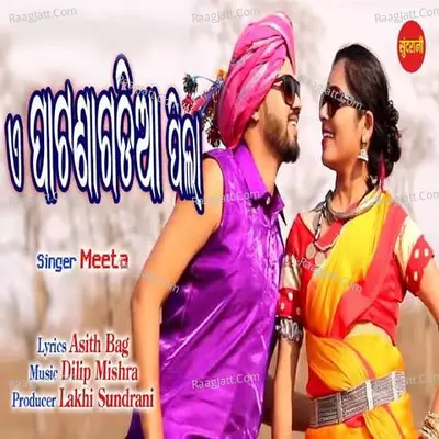 A Patnagadia Pila Cover