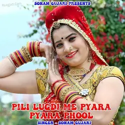 Pili Lugdi Me Payara Payara Phool