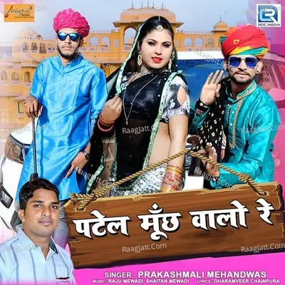 Patel Muchh Walo Re Cover