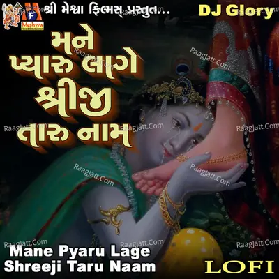 Mane Pyaru Lage Shreeji Taru Naam (Lofi)