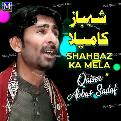 Qaiser Abbas Sadaf
