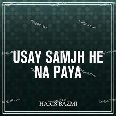 Haris Bazmi Image