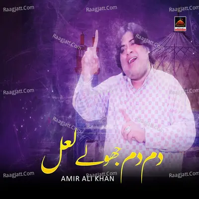 Dam Dam Jhulay Lal - Single