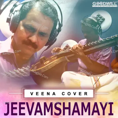 V Soundara Rajan Image