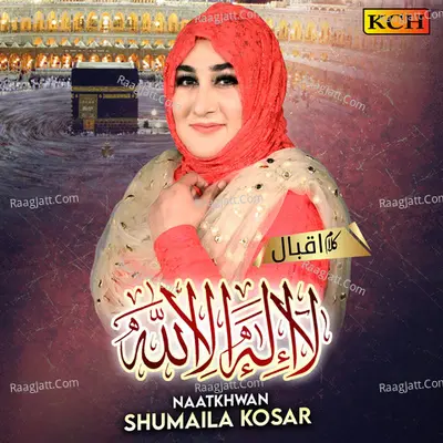 Shumaila Kosar Image