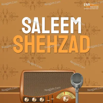 Saleem Shehzad Poster