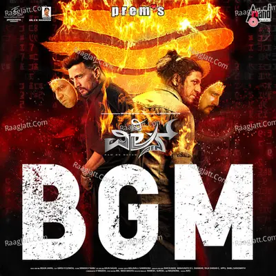 The Villain BGM Poster