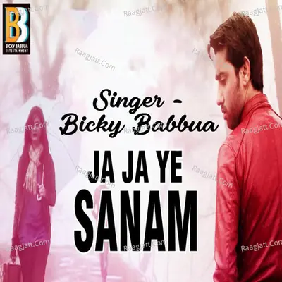 Ja Ja Ye Sanam Cover