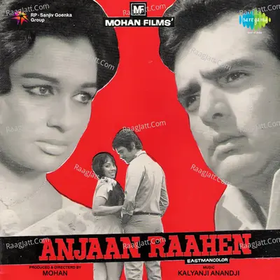 Anjaan Raahen Poster