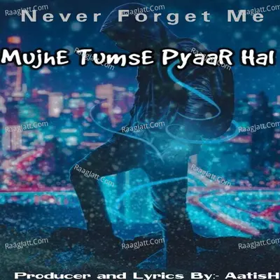 Mujhe Tumse Pyaar Hai Never Forget Me Cover